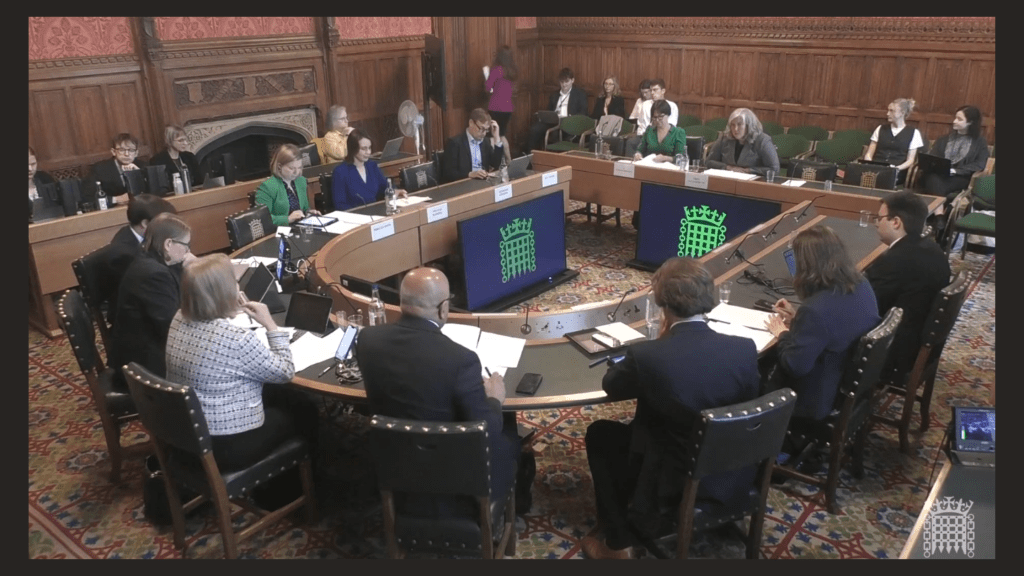 Image of oral hearing at Transport Committee, with Transport Minister Heidi Alexander.