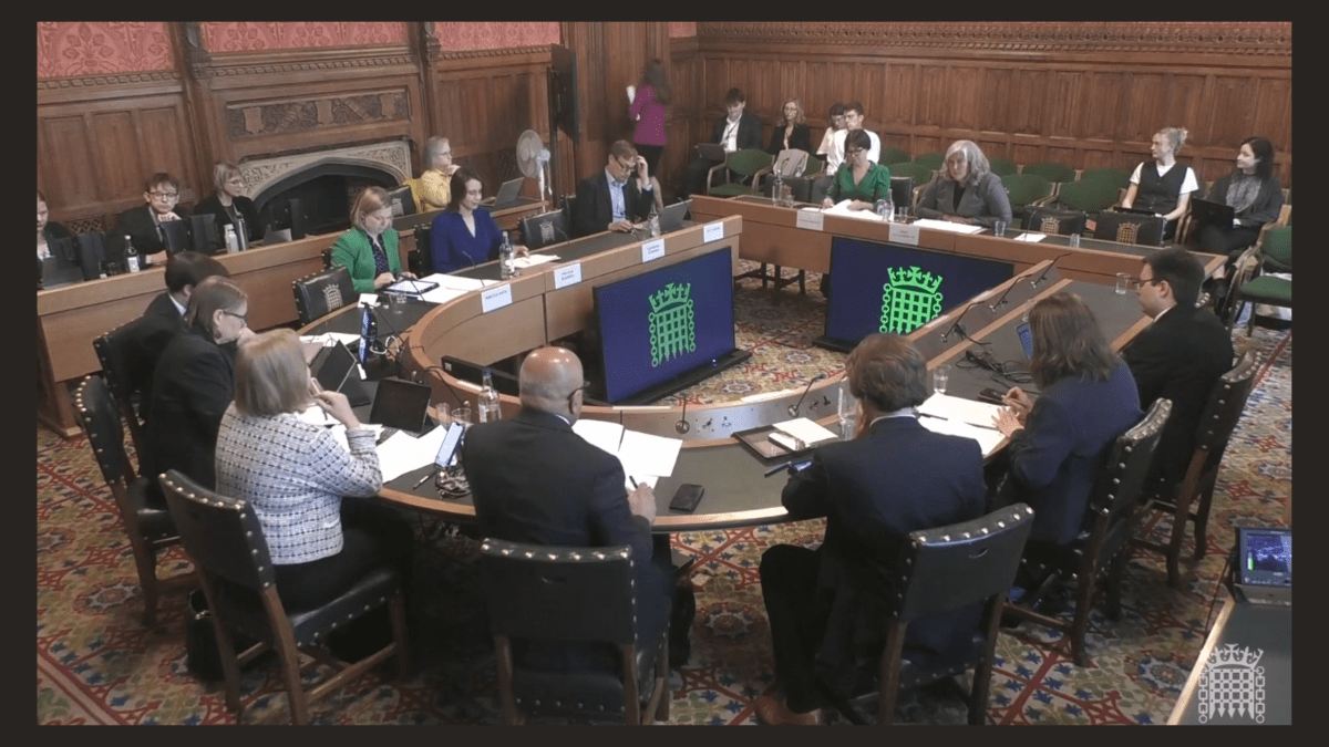 Image of oral hearing at Transport Committee, with Transport Minister Heidi Alexander.